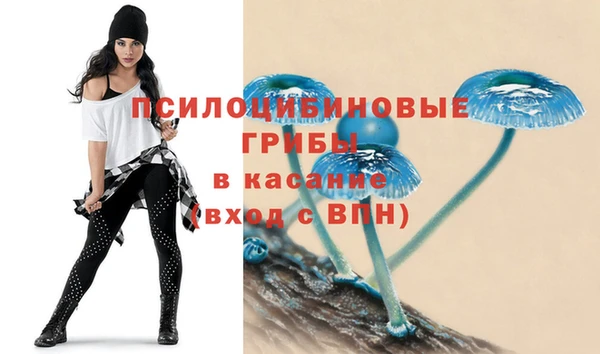 твердый Няндома