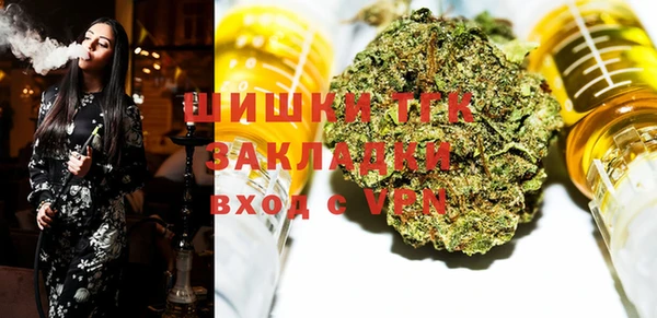 твердый Няндома