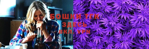 твердый Няндома