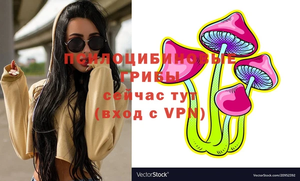 твердый Няндома