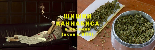 твердый Няндома