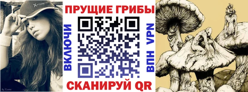 Галлюциногенные грибы MAGIC MUSHROOMS  Рыльск 